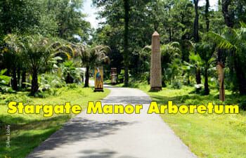 Stargate Manor Arboretum