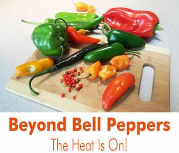 Beyond Bell Peppers: The Heat Is On!