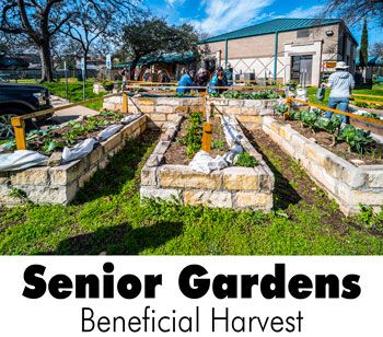 Senior Gardens: Beneficial Harvest