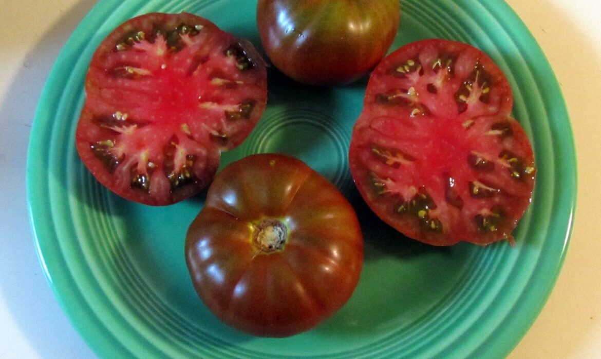 2020 Tomato Results - Big Mama Not So Hot, Others Promising