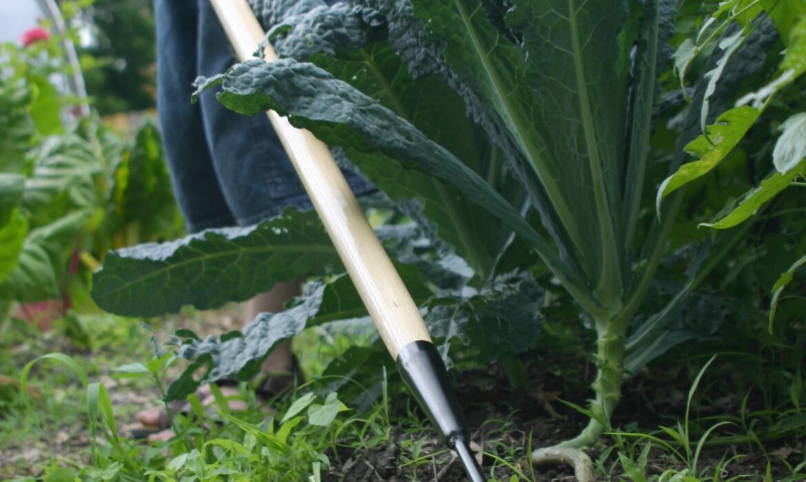 Investing in the Right Tools, Gadgets, Equipment, Accessories Will Keep You Gardening Forever