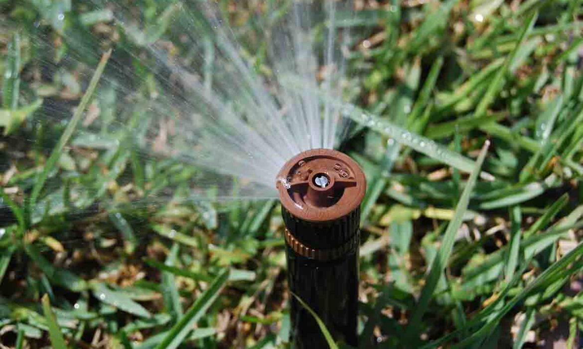 Efficient Lawn Watering
